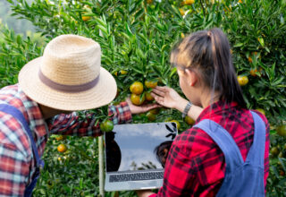 A Importância da Educação em Agricultura