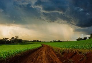 La Niña em 2024: O que esperar para o Agronegócio Brasileiro