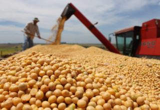 Nova projeção da CONAB aponta queda na Safra da Soja e ajustes no Agronegócio Brasileiro